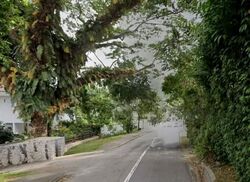 Turf Club Road (D11), Detached #639468301